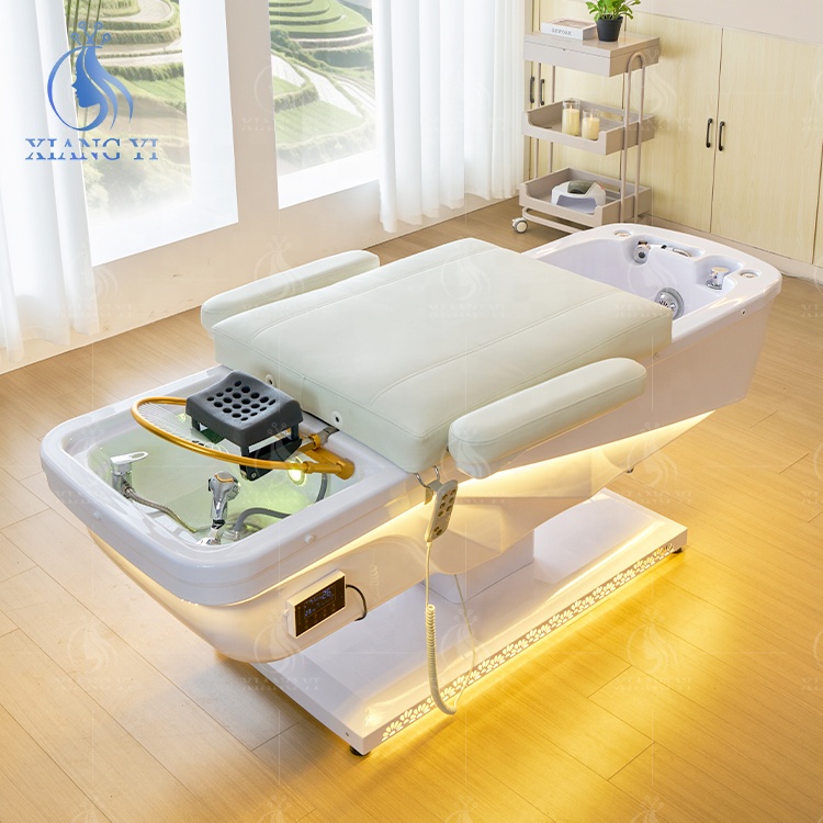 Fauteuil de lavage de luxe éle - Spa & Wellness Dr Roy Sothers avis et prix